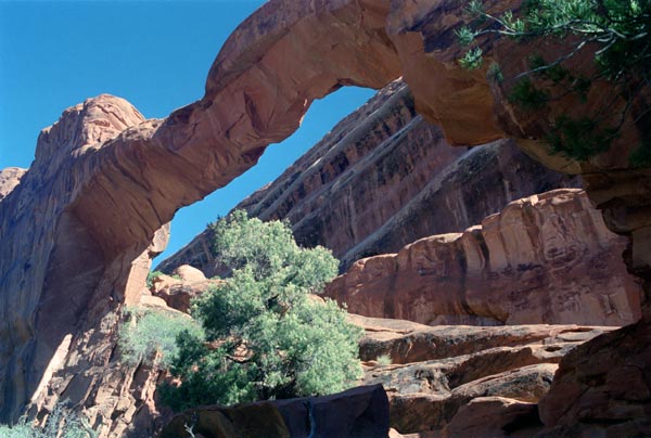 Photo - Navajo Arch