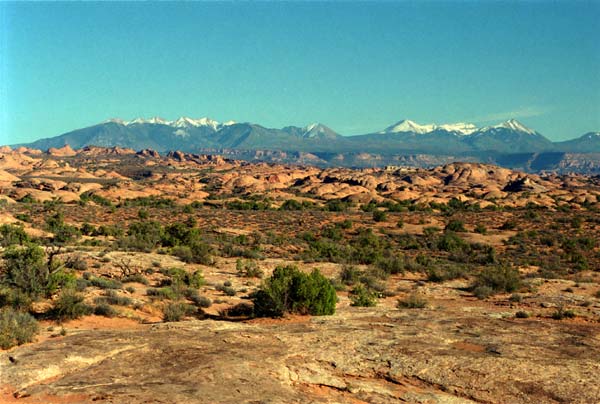 Photo - Petrified Sand Dunes