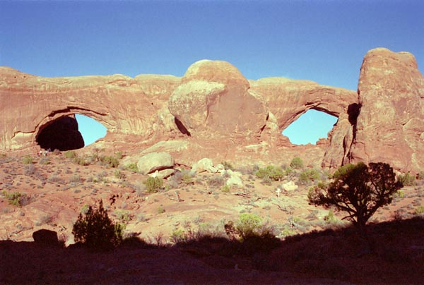 Photo - Windows Arch