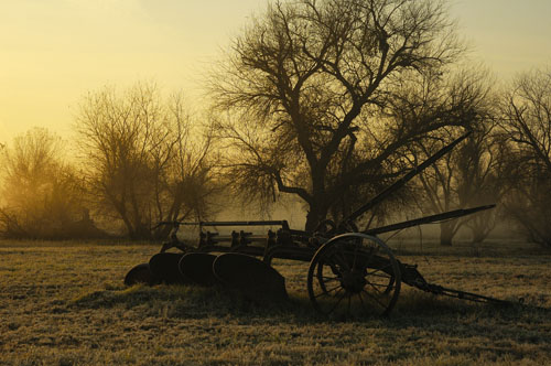 Photo - Old Plow