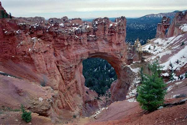 Photo - Natural Bridge