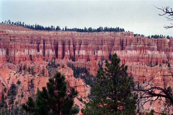 Photo - On Peekaboo Trail