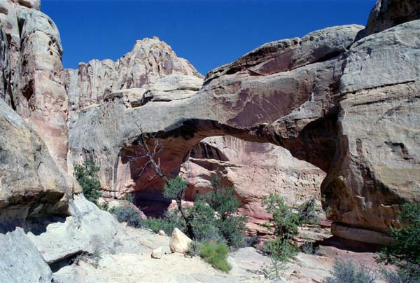 Photo - Hickman Bridge