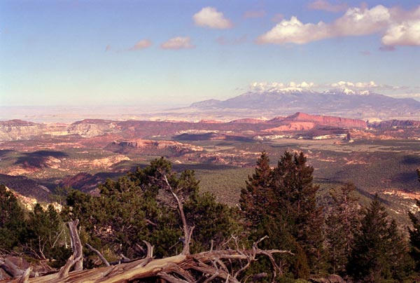 Photo - Vista near Park