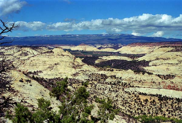 Photo - Aquarius Plateau