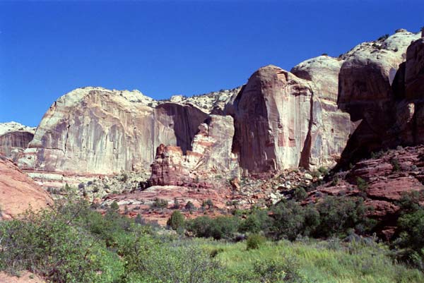 Photo - Stone Faces