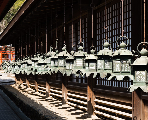 Photo - Line-up of Lanterns