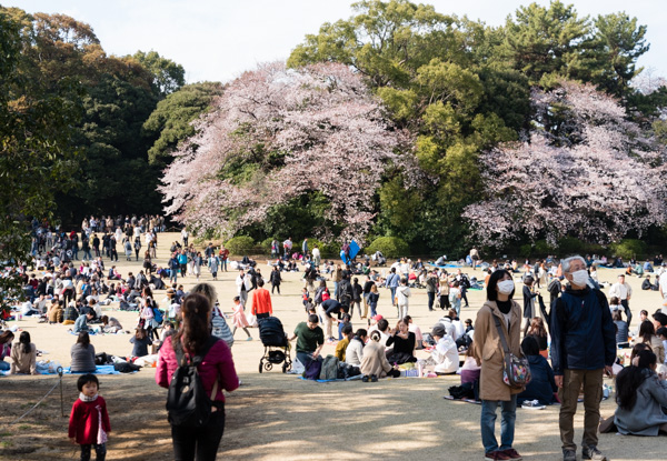 Photo - Shinjuku Gyoen Park