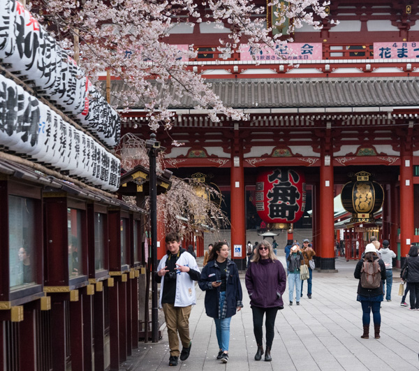 Photo - Strolling in Asakusa