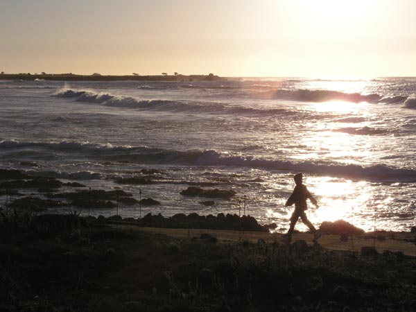 Photo - Asilomar Beach