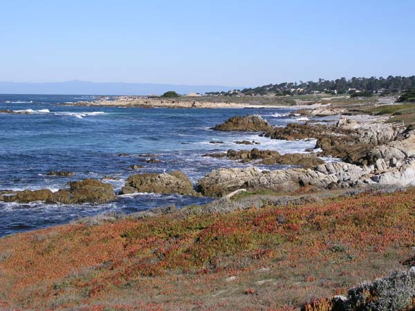 Photo - Fan Shell Beach