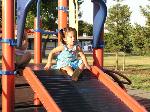 Photo - On the Roller Slide