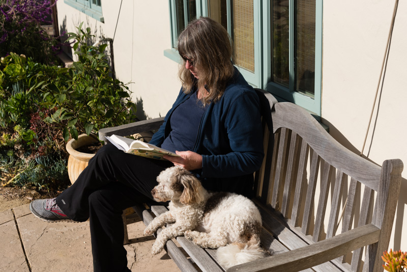 Photo - Bonding in Sunshine