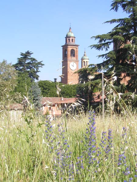 Photo - Church Tower