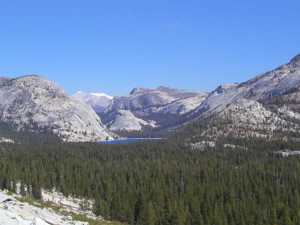 Photo - Yosemite - Lake Tenaya