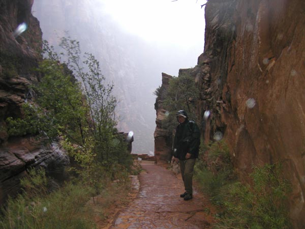 Photo - Bill in Rain