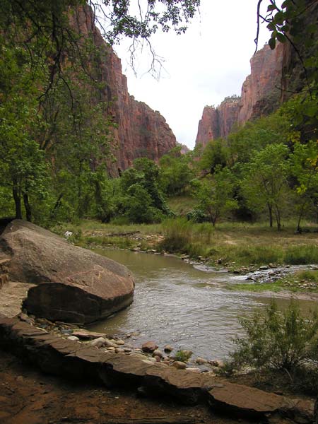 Photo - Riverside Walk